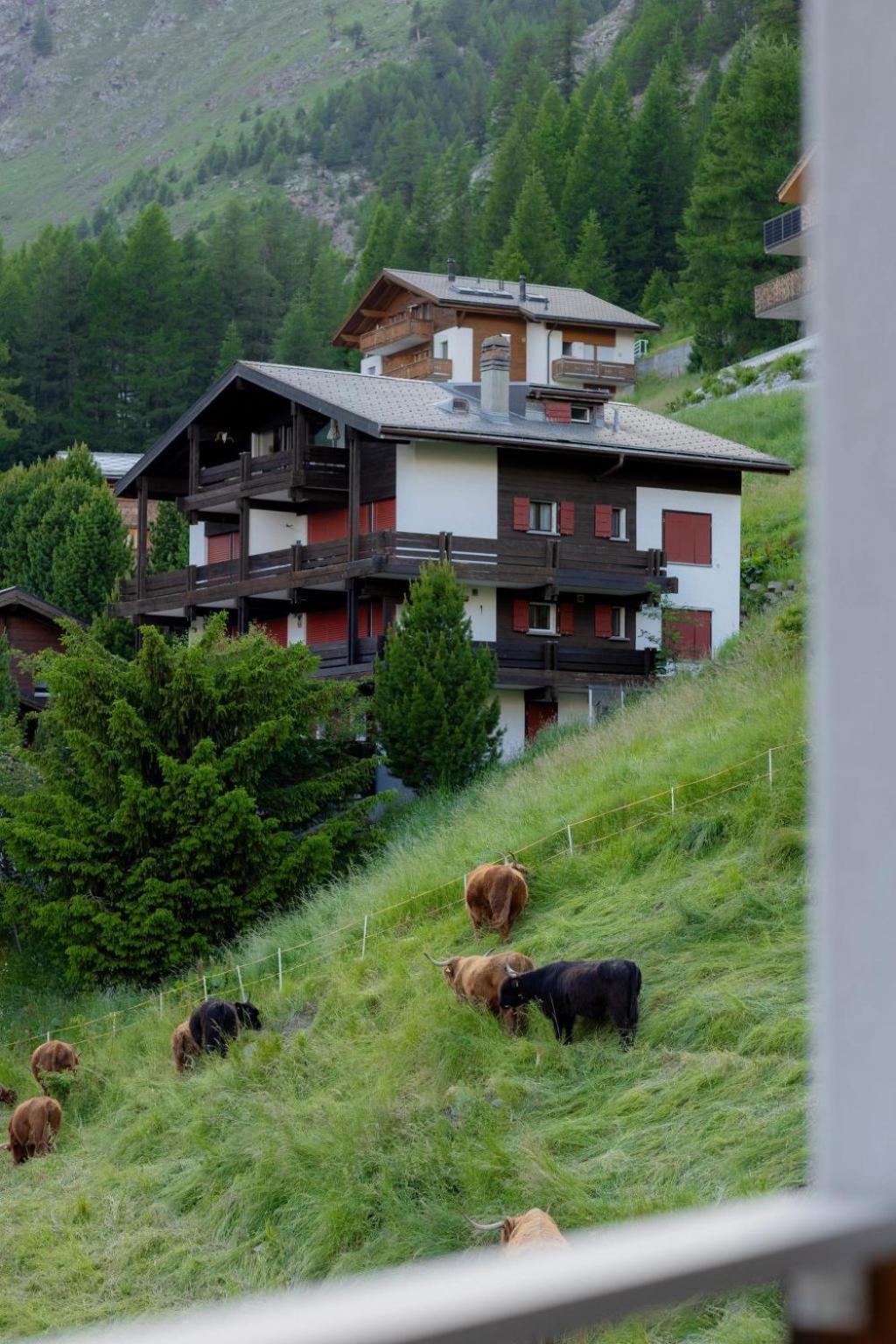 Apartment Penthouse Victoria'S Home Im Haus Judith By Interhome Saas-Fee Exterior photo